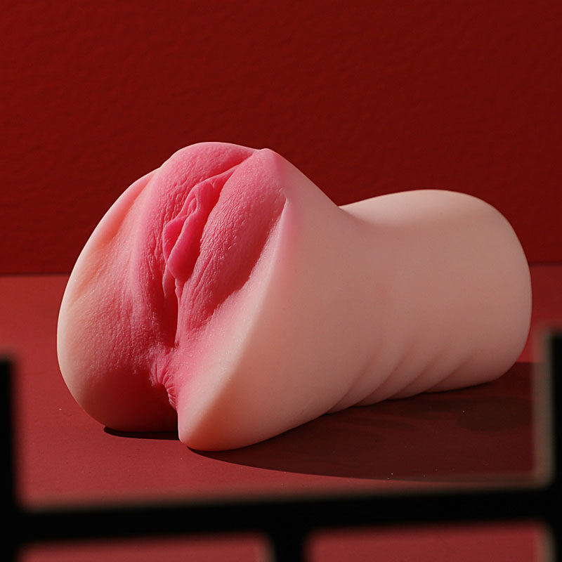 中型 お なほ ー る 通販